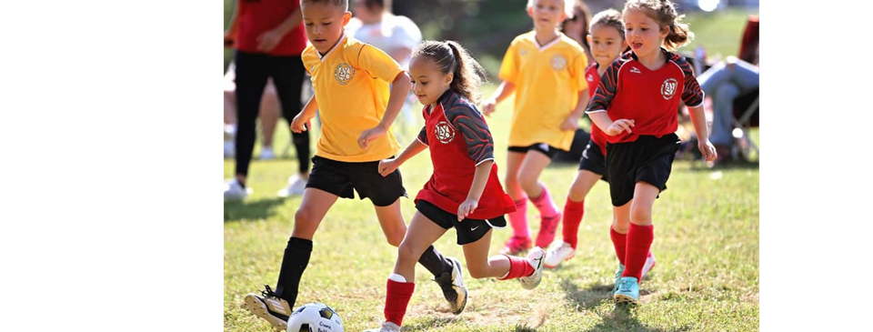 Player Development